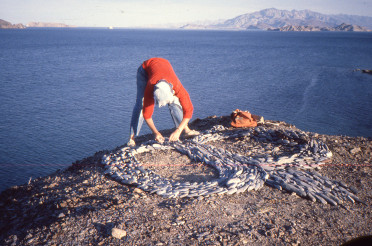 1980 – Baja Calif Mexico