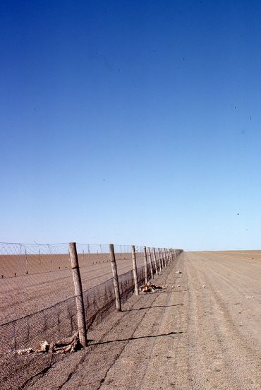 1978 – Oxide Street (Dingo Fence)